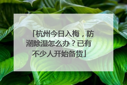 杭州今日入梅，防潮除湿怎么办？已有不少人开始备货